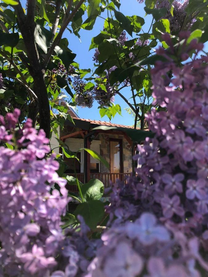 Karali Apartments Lagadin Kültér fotó